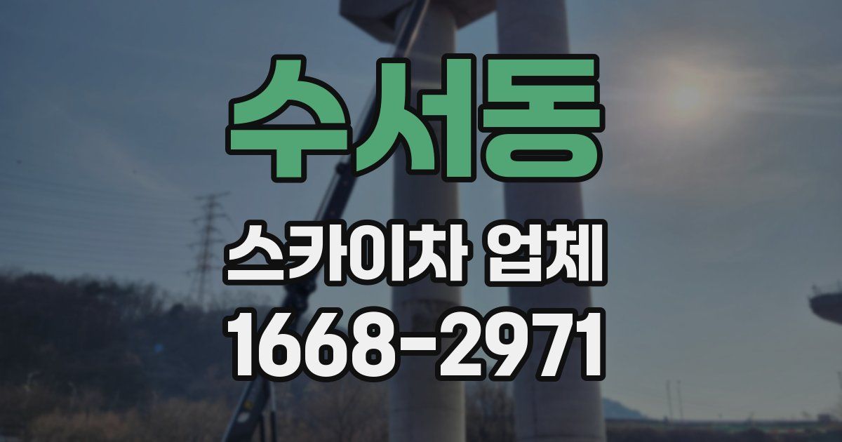 수서동 스카이차 업체