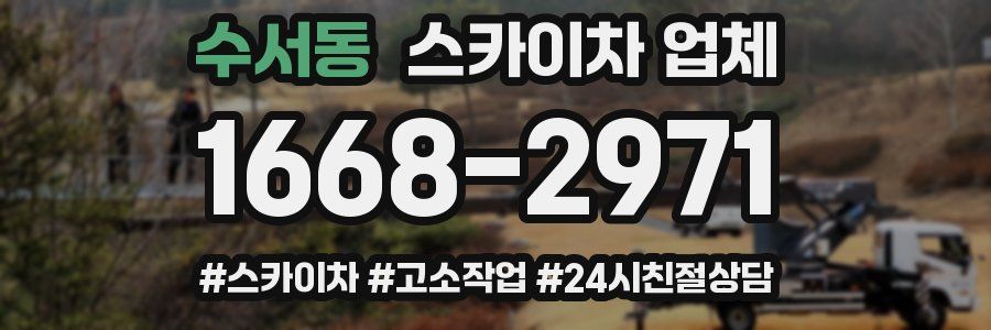 수서동 스카이차 업체