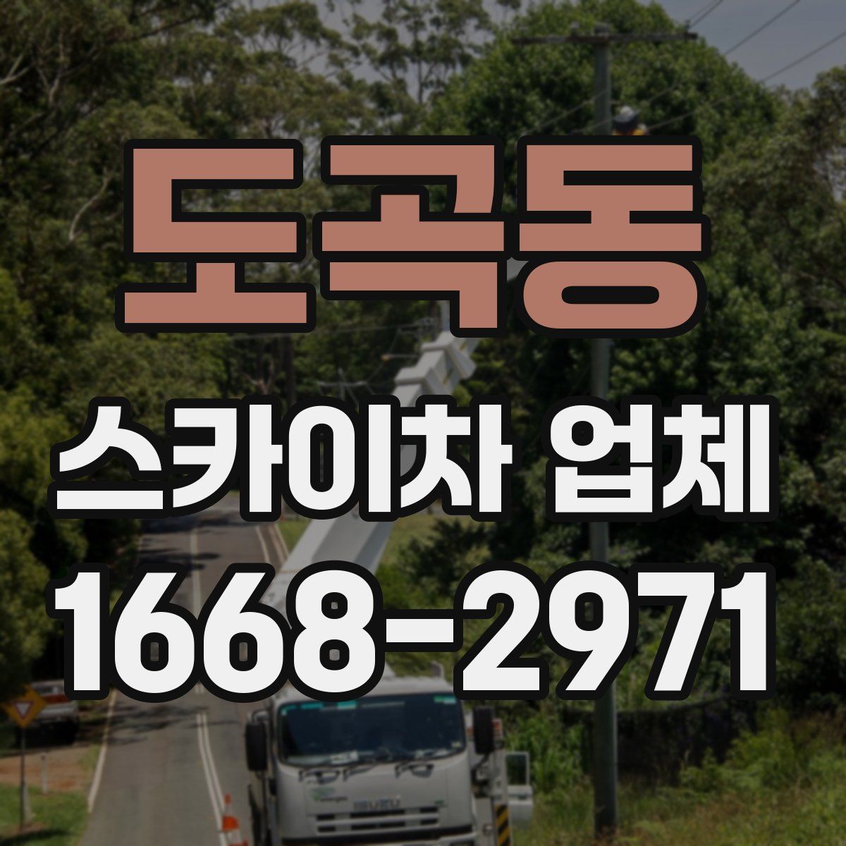 도곡동 스카이차 업체