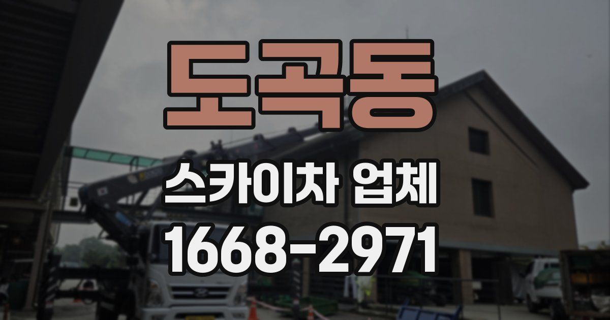 도곡동 스카이차 업체