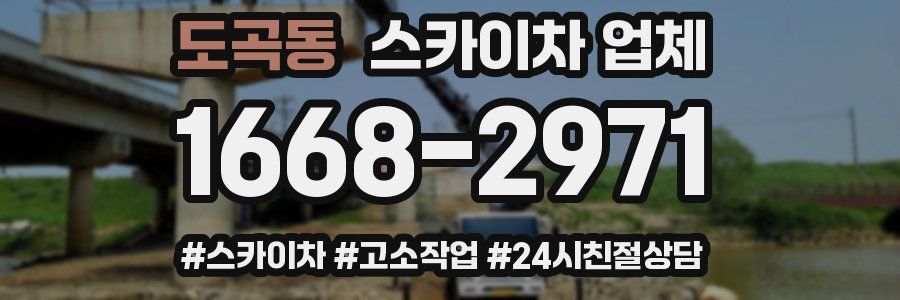도곡동 스카이차 업체