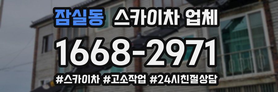 잠실동 스카이차 업체