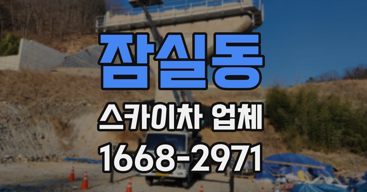 잠실동 스카이차 업체