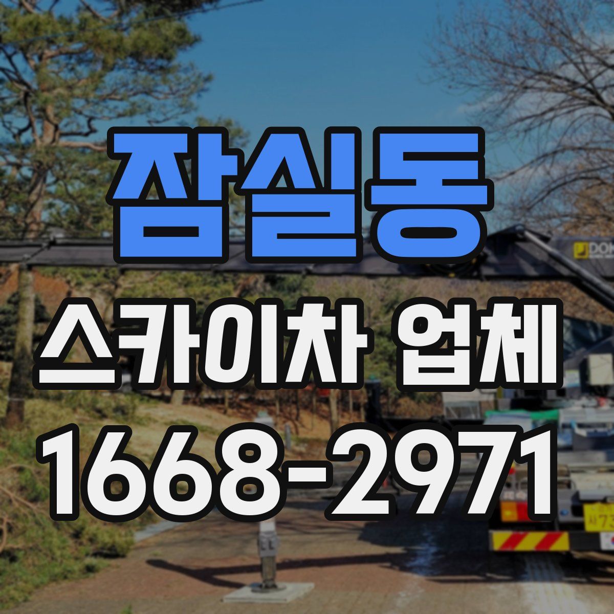 잠실동 스카이차 업체