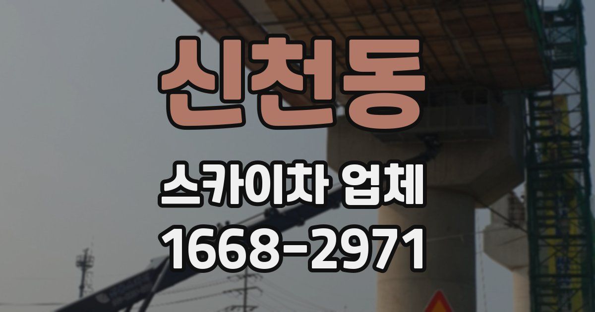 신천동 스카이차 업체
