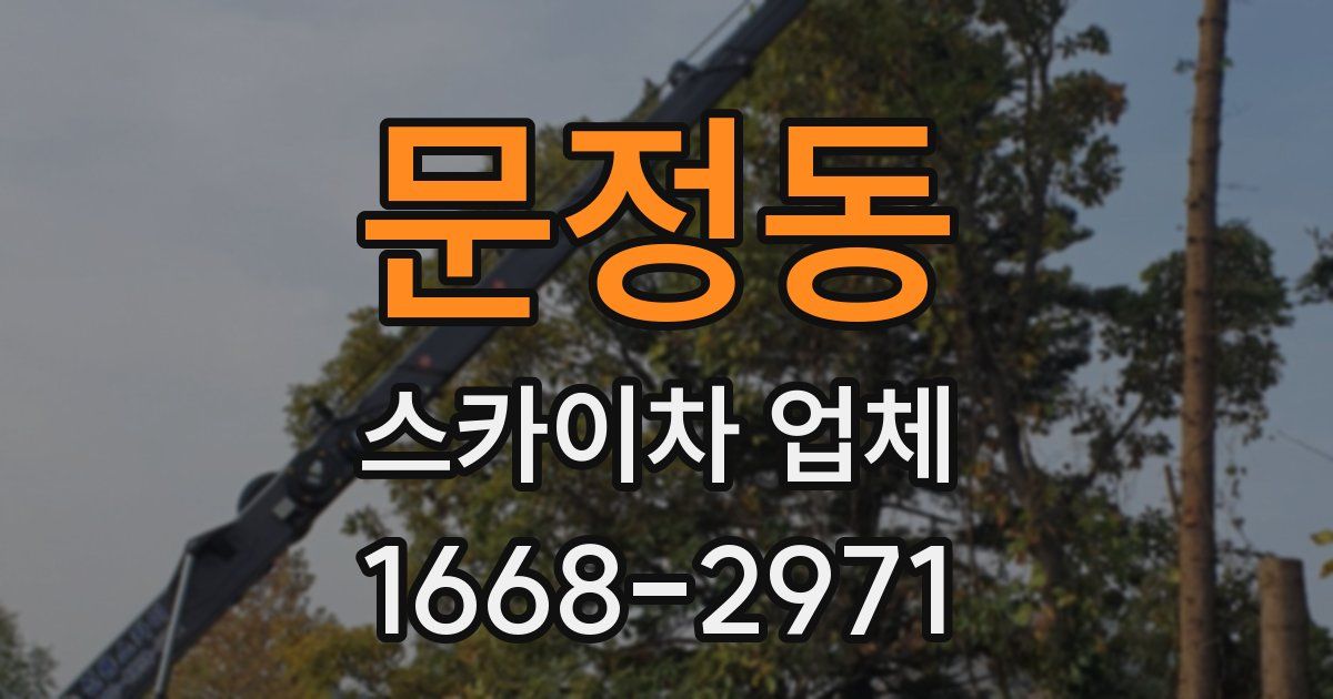 문정동 스카이차 업체