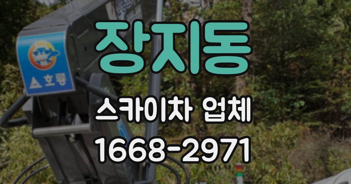 장지동 스카이차 업체