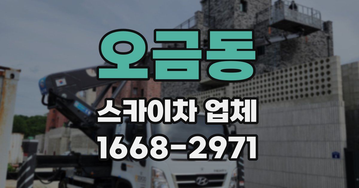 오금동 스카이차 업체