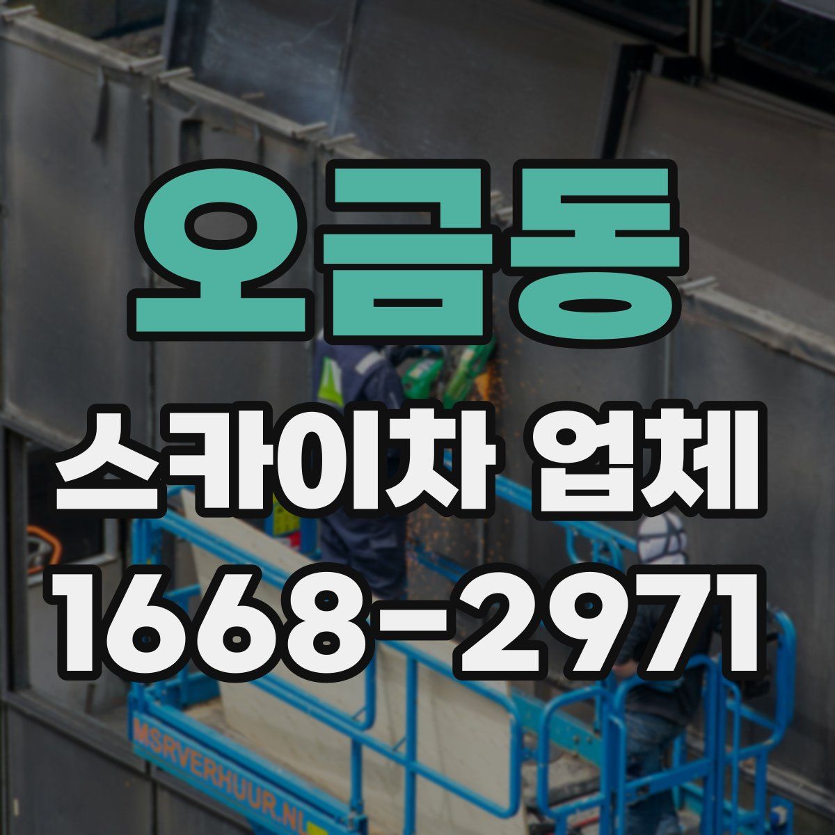 오금동 스카이차 업체