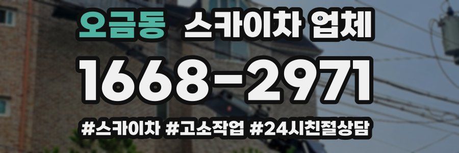 오금동 스카이차 업체