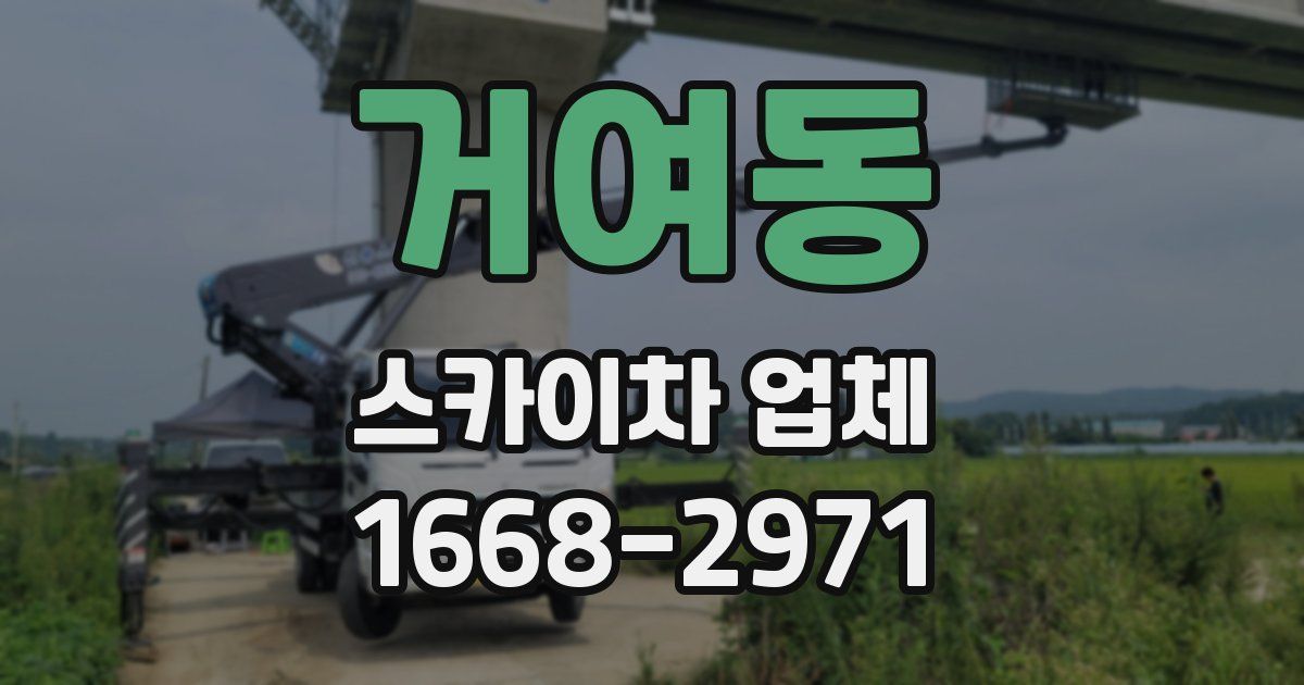 거여동 스카이차 업체