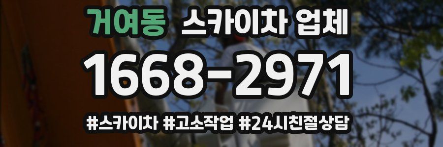 거여동 스카이차 업체