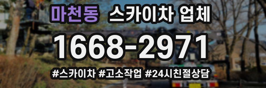 마천동 스카이차 업체