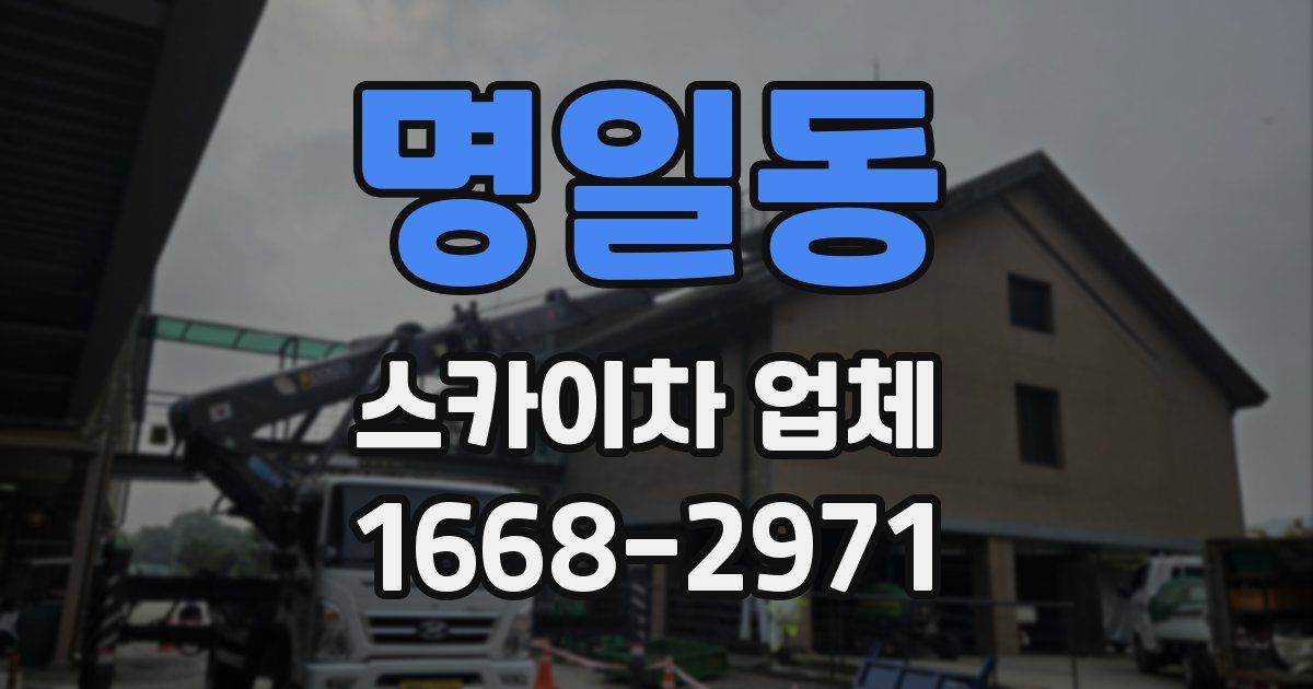 명일동 스카이차 업체