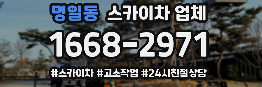 명일동 스카이차 업체