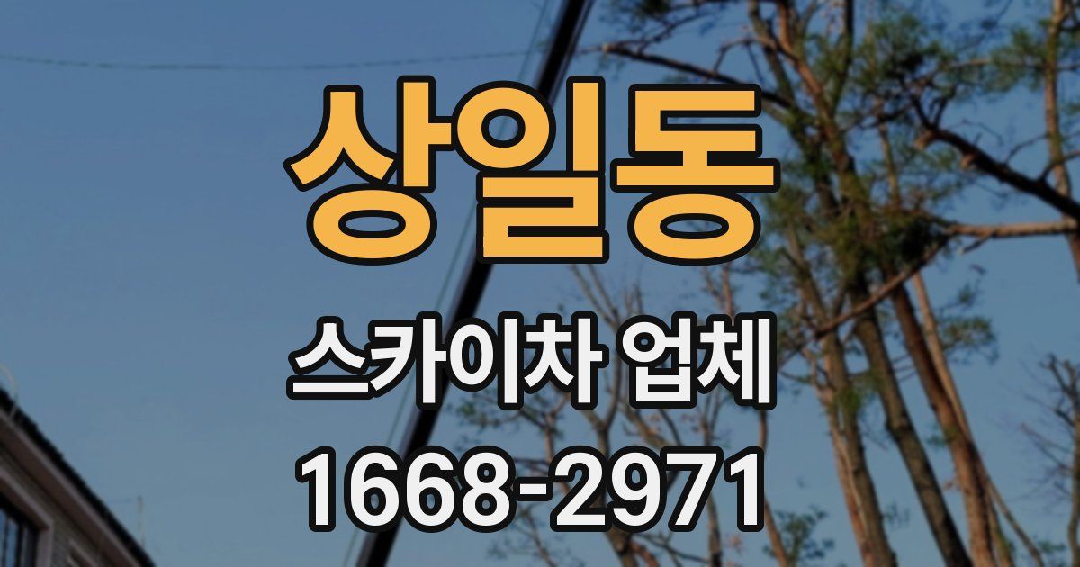 상일동 스카이차 업체