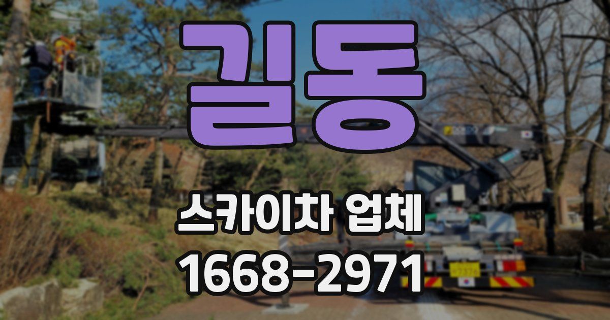 길동 스카이차 업체