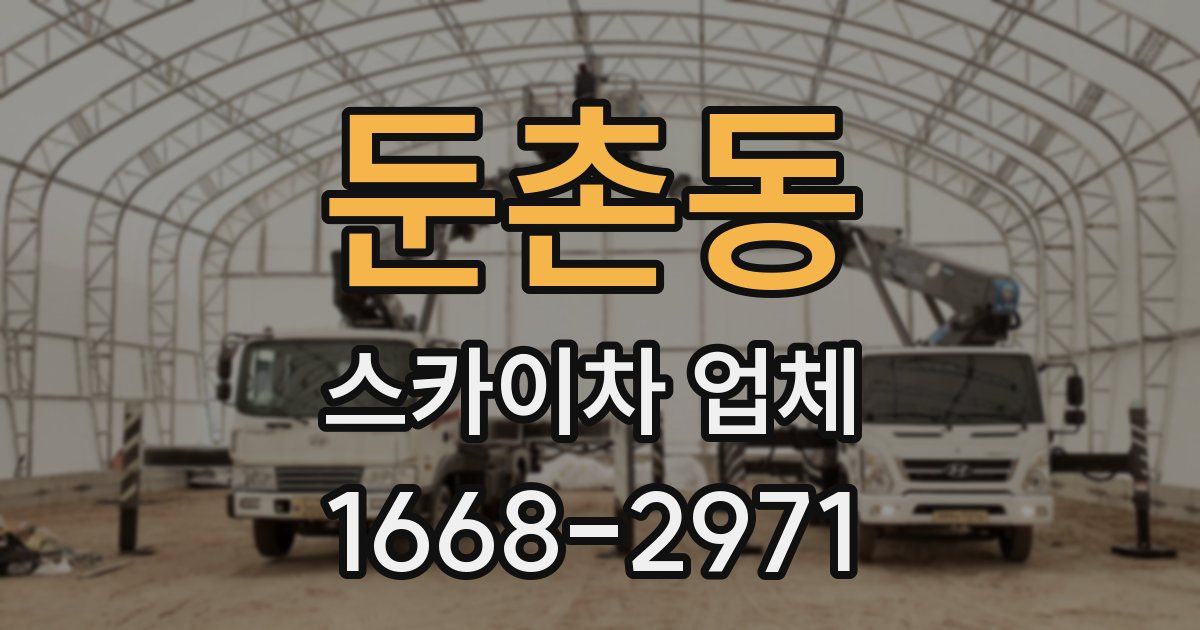둔촌동 스카이차 업체