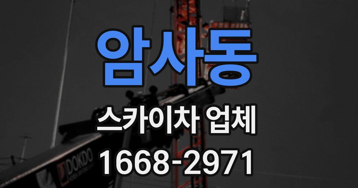 암사동 스카이차 업체