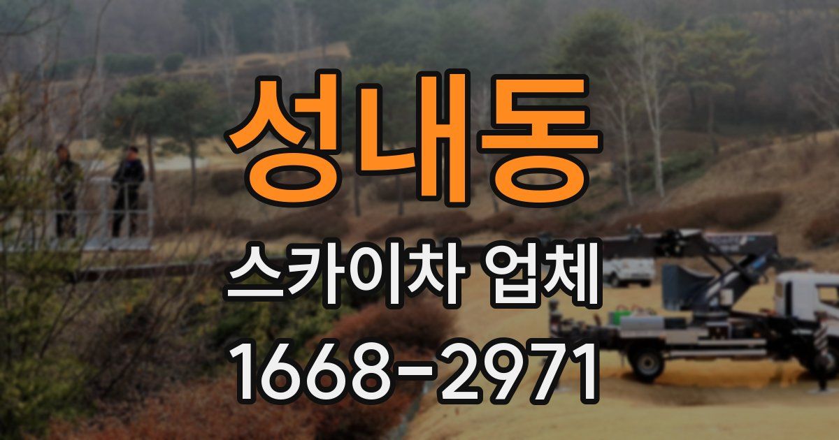 성내동 스카이차 업체