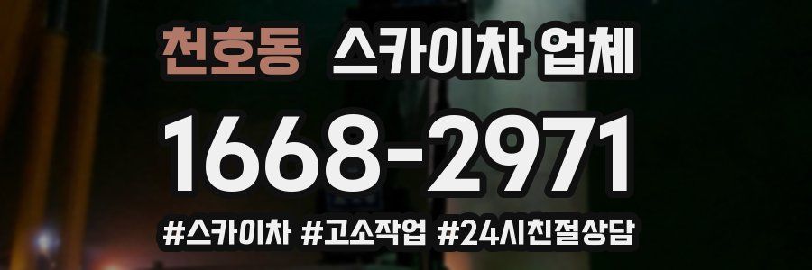 천호동 스카이차 업체