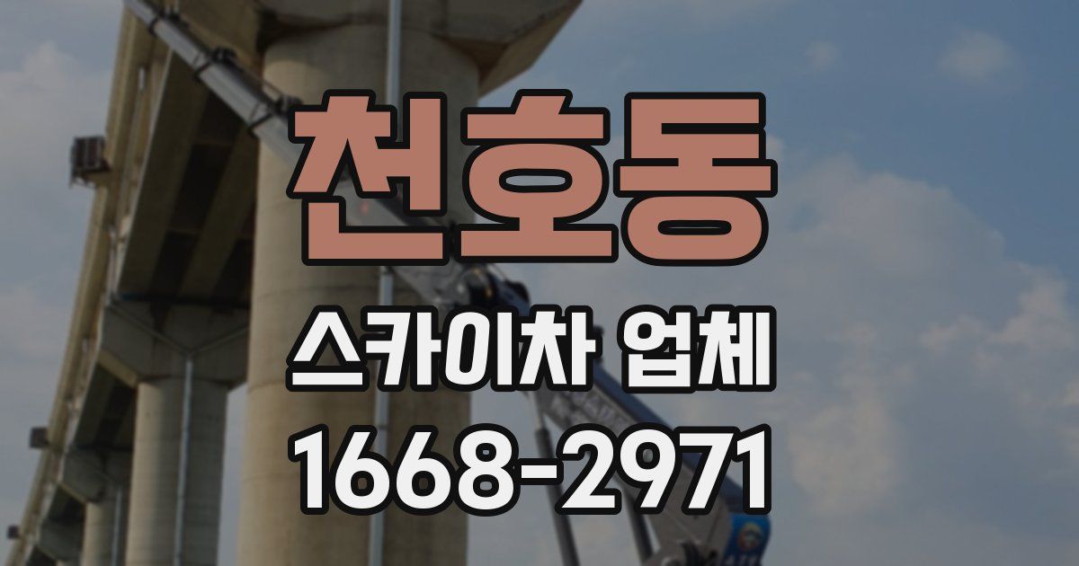 천호동 스카이차 업체
