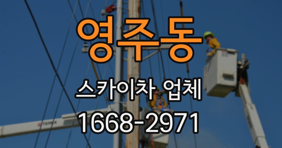 영주동 스카이차 업체