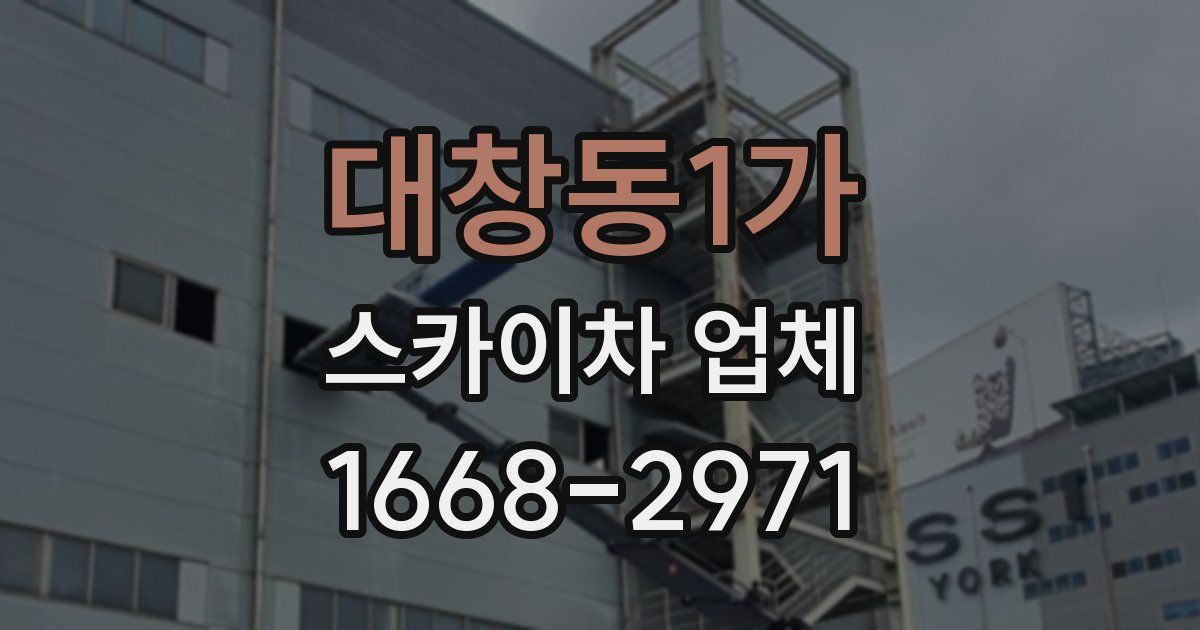 대창동1가 스카이차 업체
