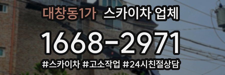 대창동1가 스카이차 업체