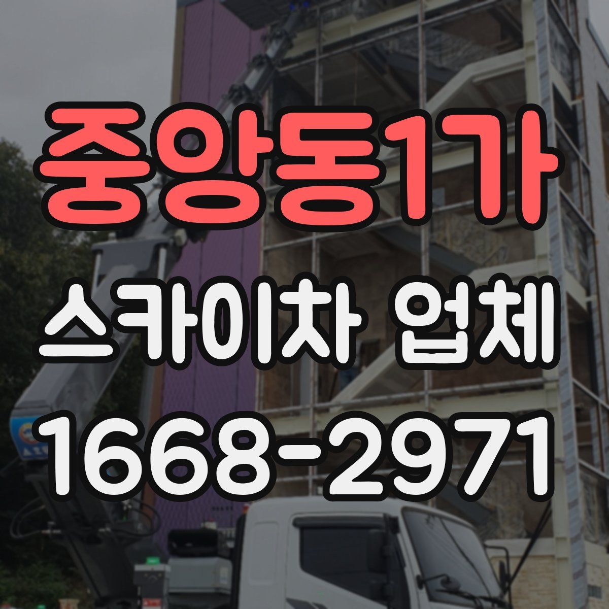 중앙동1가 스카이차 업체
