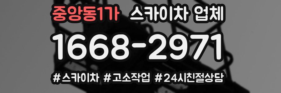 중앙동1가 스카이차 업체