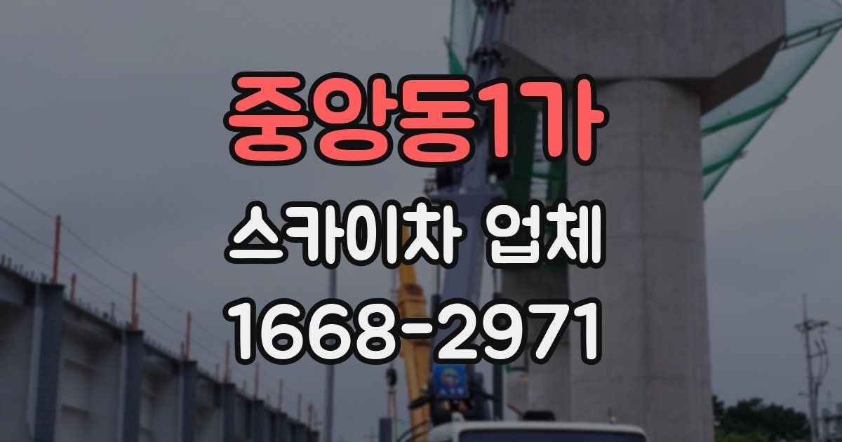 중앙동1가 스카이차 업체