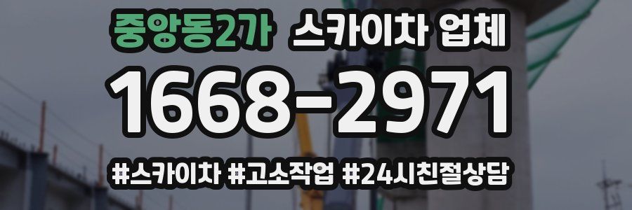 중앙동2가 스카이차 업체