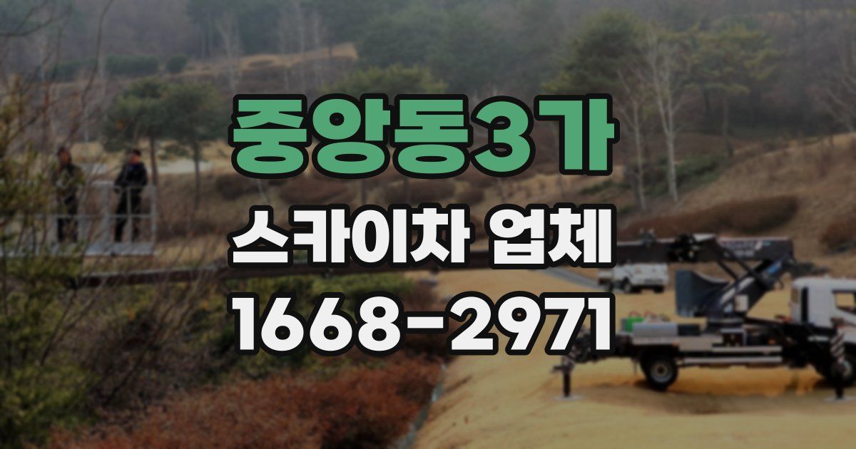 중앙동3가 스카이차 업체