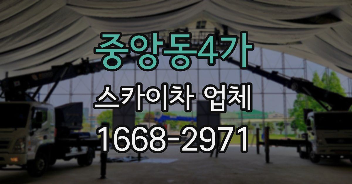 중앙동4가 스카이차 업체