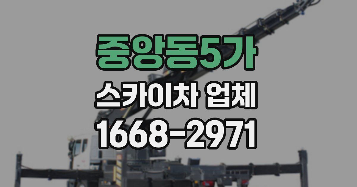 중앙동5가 스카이차 업체