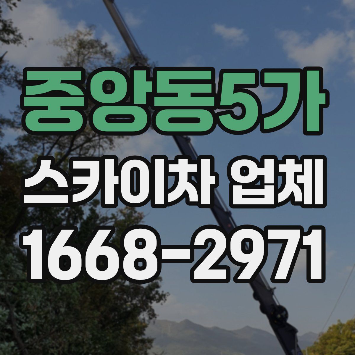 중앙동5가 스카이차 업체