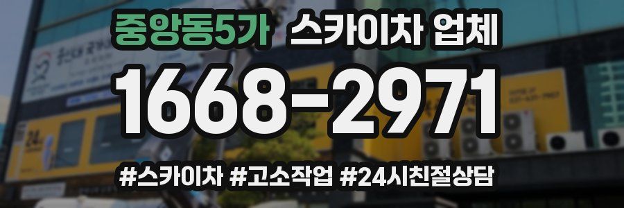 중앙동5가 스카이차 업체