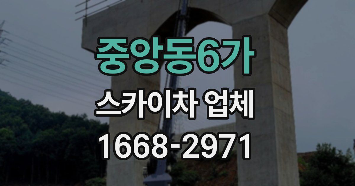 중앙동6가 스카이차 업체