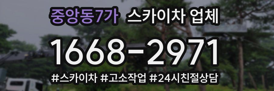 중앙동7가 스카이차 업체