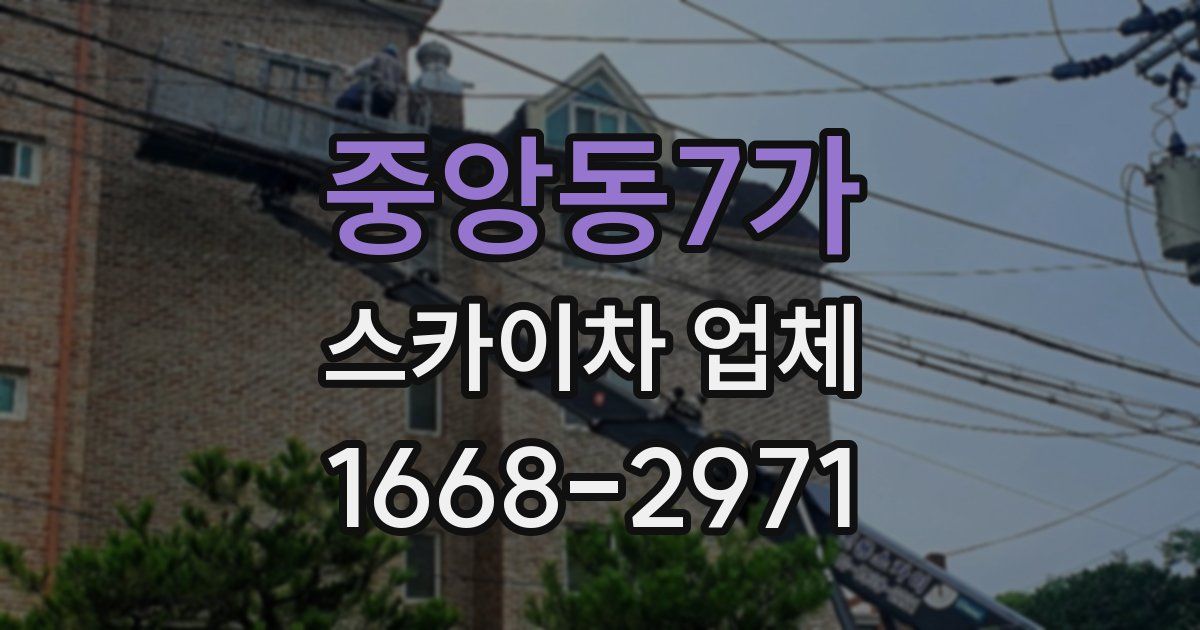 중앙동7가 스카이차 업체
