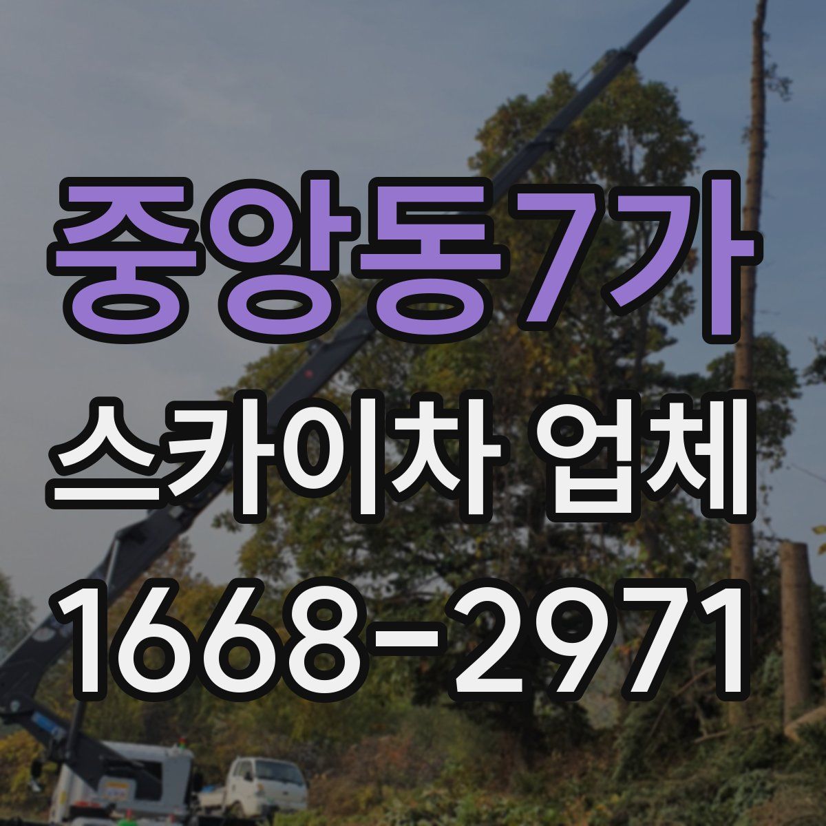 중앙동7가 스카이차 업체