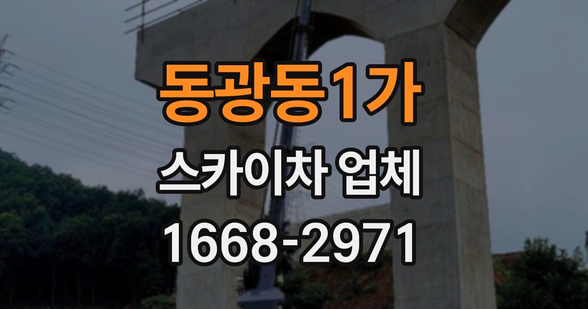 동광동1가 스카이차 업체