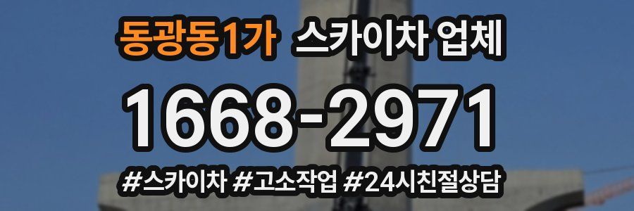 동광동1가 스카이차 업체