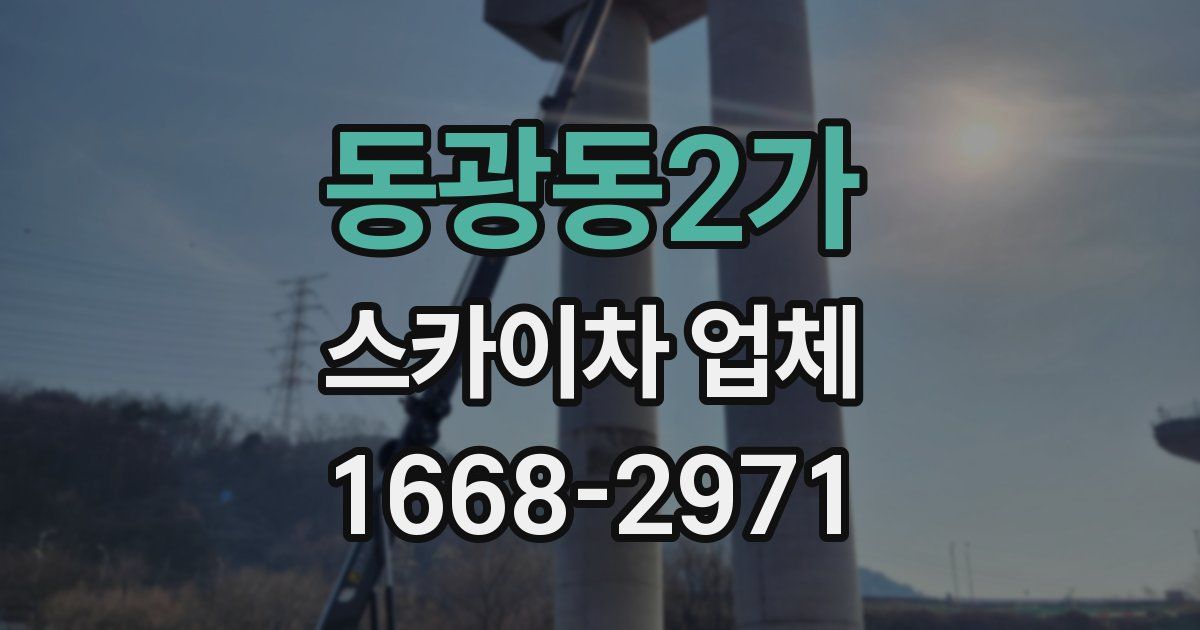 동광동2가 스카이차 업체