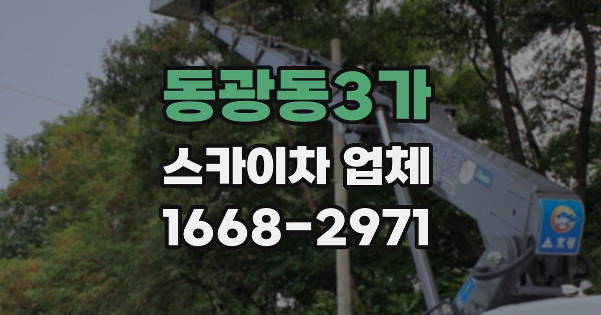 동광동3가 스카이차 업체