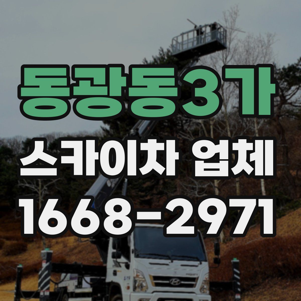 동광동3가 스카이차 업체