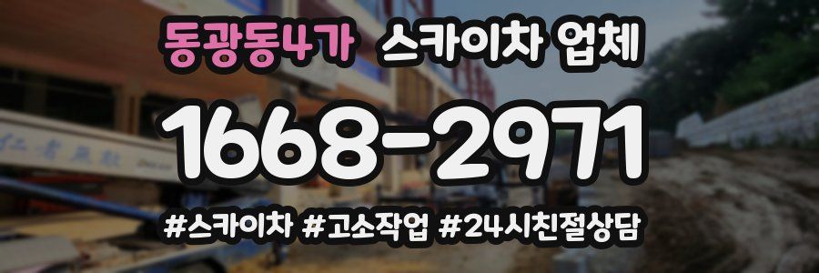 동광동4가 스카이차 업체