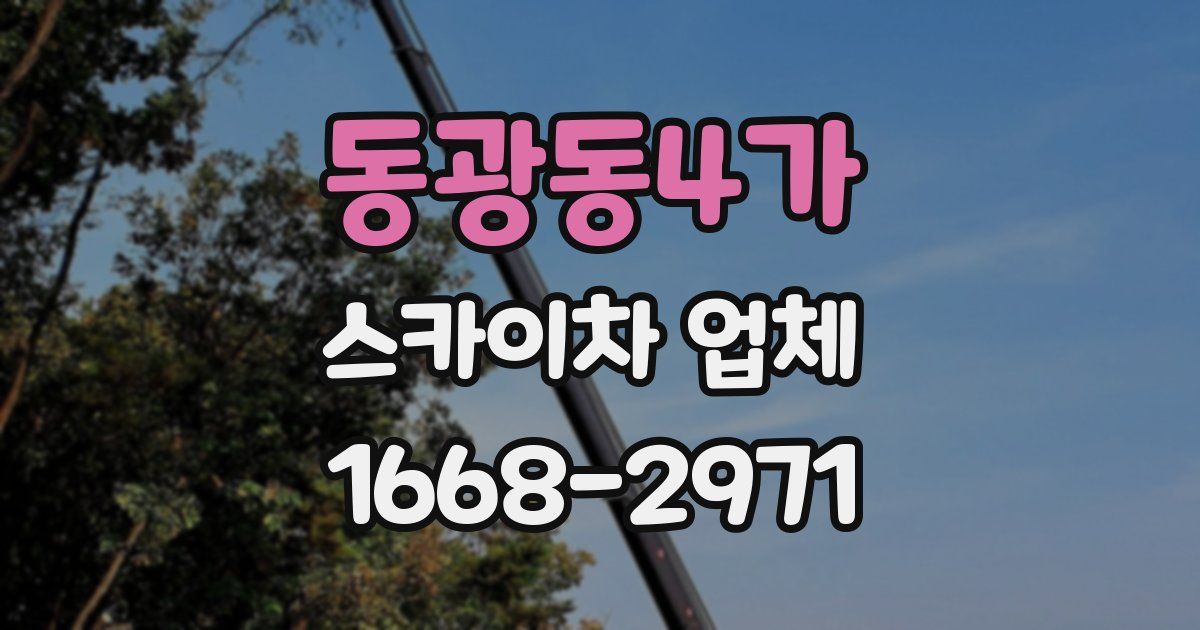 동광동4가 스카이차 업체