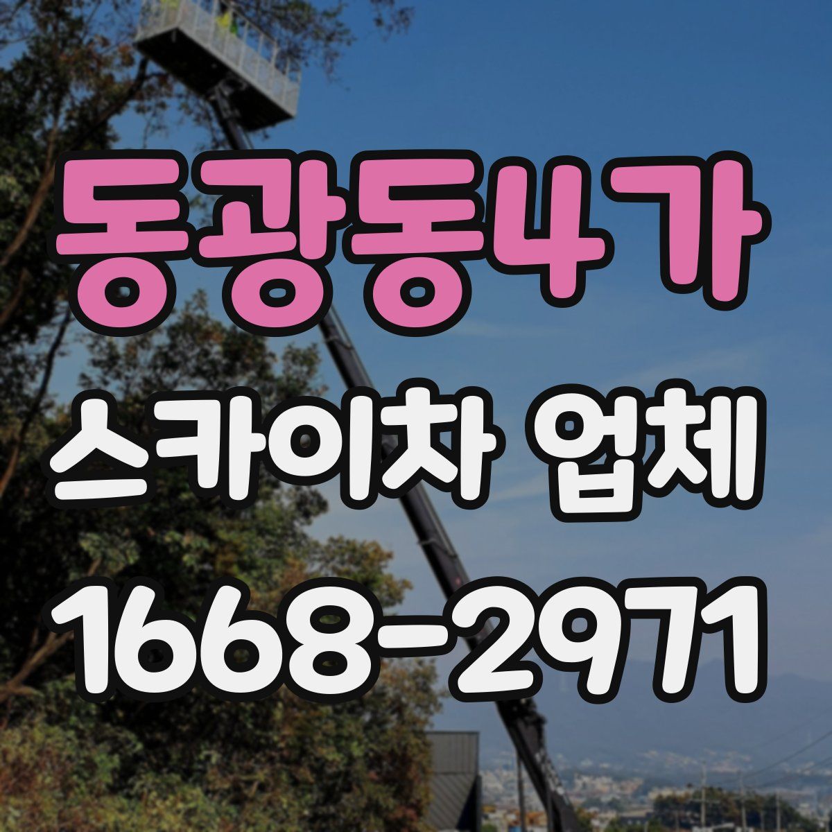 동광동4가 스카이차 업체